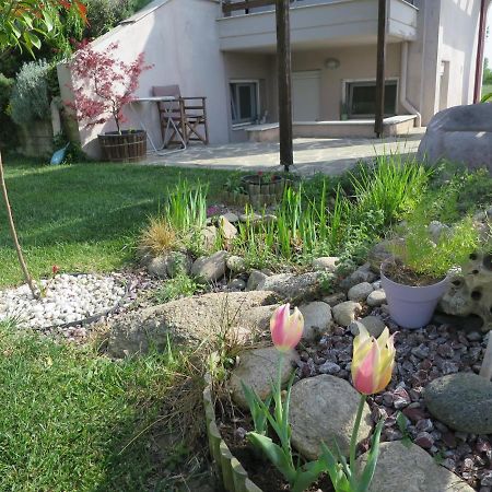 Guesthouse With Garden Gümülcine Dış mekan fotoğraf